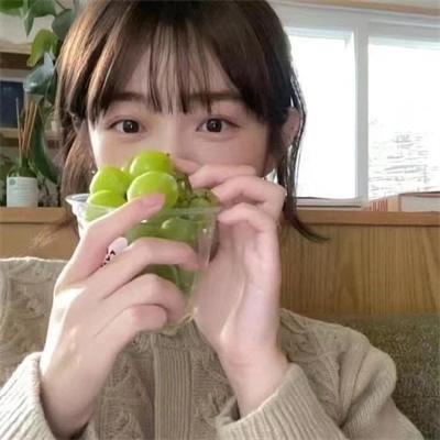 加菲猫和他的朋友们第六季封面